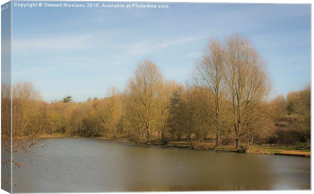  High Woods Lake, Colchester Canvas Print by Stewart Nicolaou