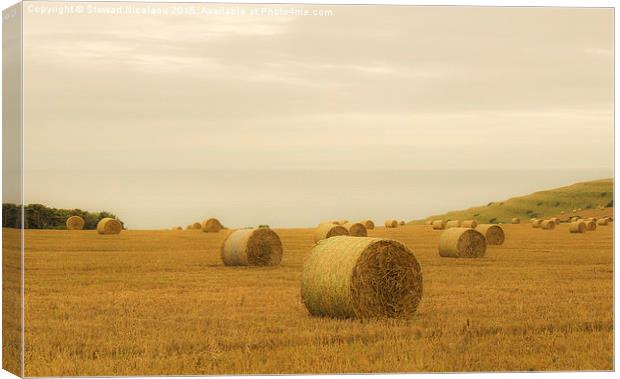 The Bales at St Aldhelm, Dorset Canvas Print by Stewart Nicolaou