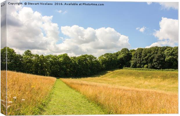 A Summers Day Amongst The Meadows  Canvas Print by Stewart Nicolaou