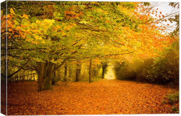 Autumn Leaves Canvas Print by Stewart Nicolaou