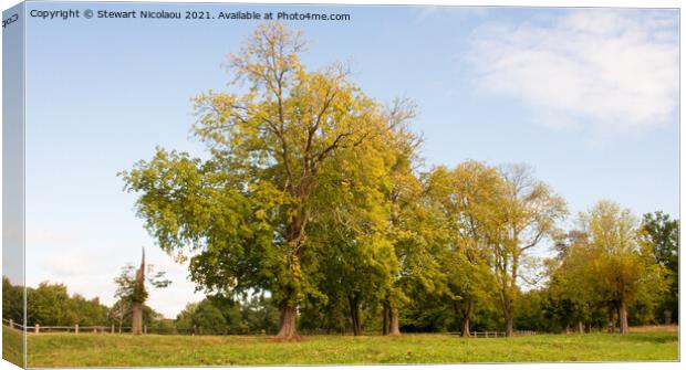 Plant tree Canvas Print by Stewart Nicolaou