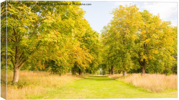 An Autumnal Walk In The Kent Countryside  Canvas Print by Stewart Nicolaou
