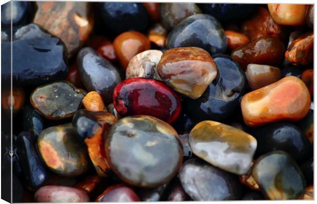 Pebbles on the beach Canvas Print by Colin Brittain