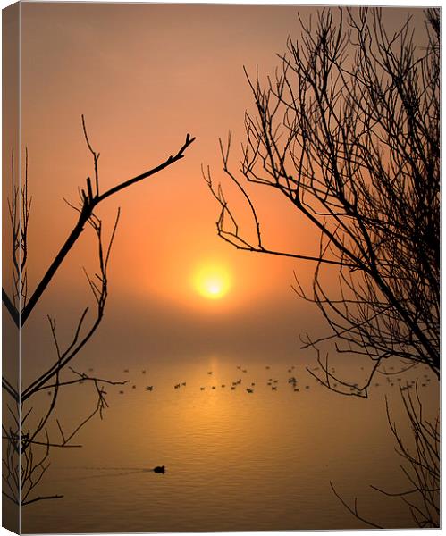 Cosmeston Lake with mist Canvas Print by Mark Williams