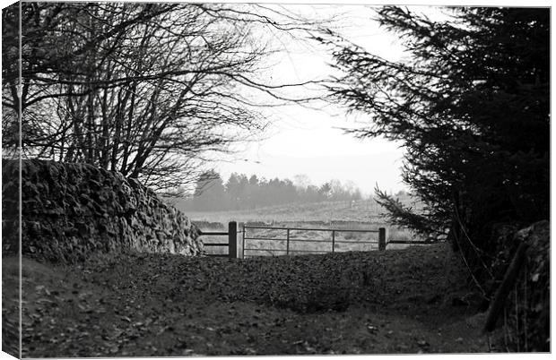 Old Stone Wall and Gate BW Scotland Canvas Print by James Taylor