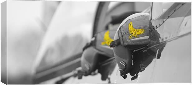  Eagle Squadron B&W + Yellow Canvas Print by Alan Rampton Photography