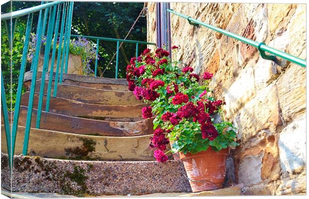 Worn steps and flowerpots Canvas Print by Jason Moss