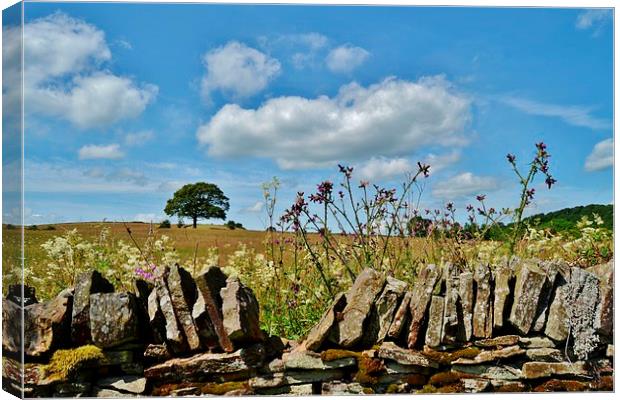  Over the Wall Canvas Print by Jason Moss