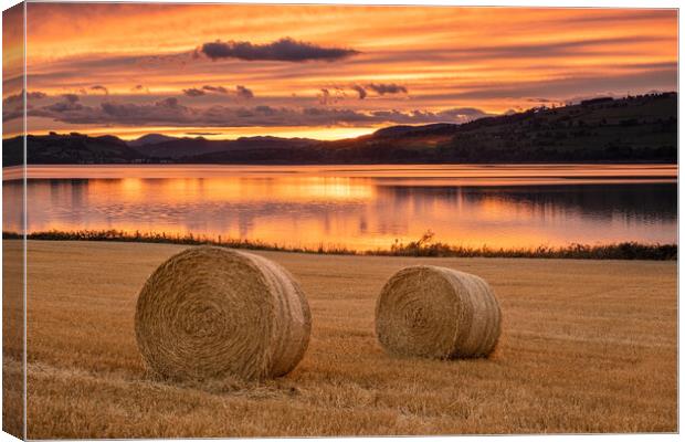 Hay Bales Cromarty Firth Canvas Print by Jason Moss