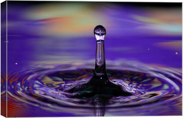 water drops bubbles an crowns Canvas Print by nick wastie