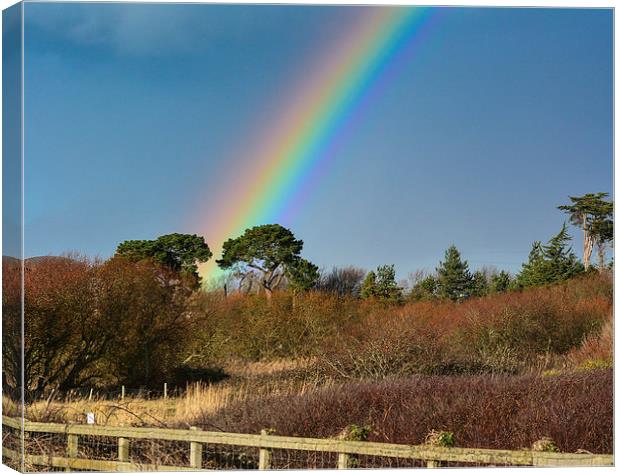 beautiful rainbow Canvas Print by nick wastie