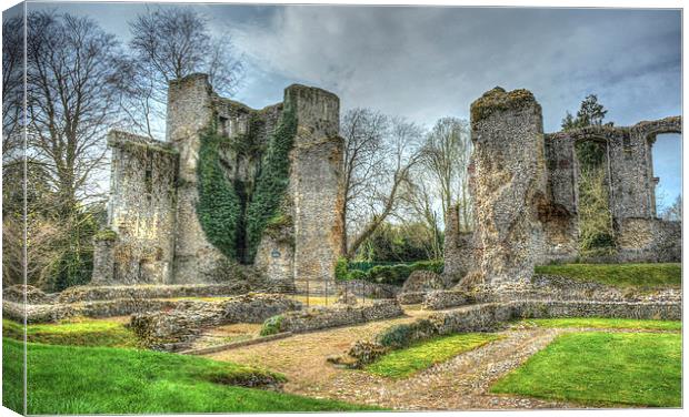 bishops waltham palace ruin Canvas Print by nick wastie