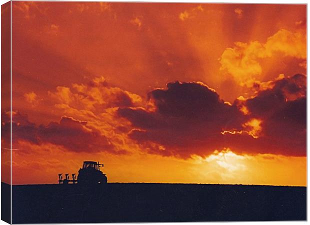 Sunset Ploughing in Caradon Canvas Print by Roger Upton