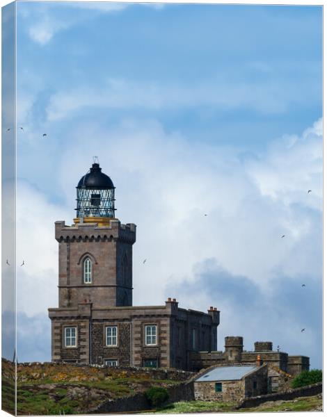 Robert Lewis Stevenson Lighthouse, Isle Of May, Sc Canvas Print by Tommy Dickson