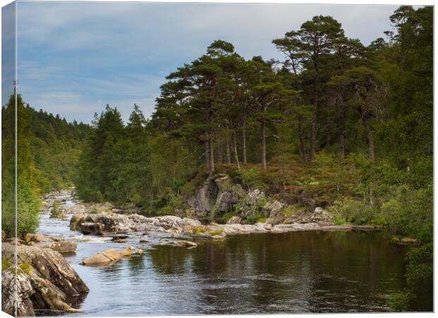 The River Affric, Glen Affric. Canvas Print by Tommy Dickson