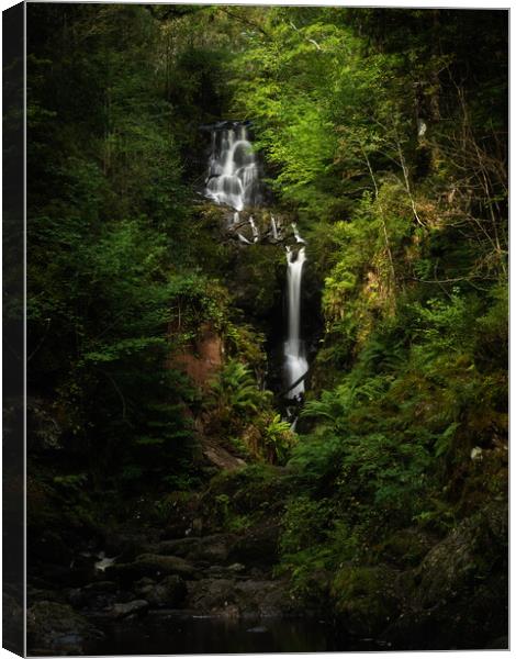 Little Fawn Waterfall, Aberfoyle. Canvas Print by Tommy Dickson