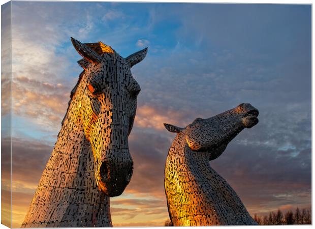 The Kelpies, Falkirk at sunset. Canvas Print by Tommy Dickson