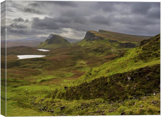 The Quiraing, Isle of Skye.  Canvas Print by Tommy Dickson