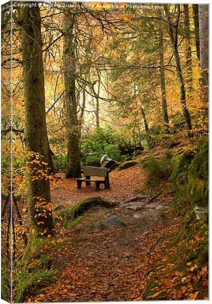 Serenity in Autumn Canvas Print by Tommy Dickson
