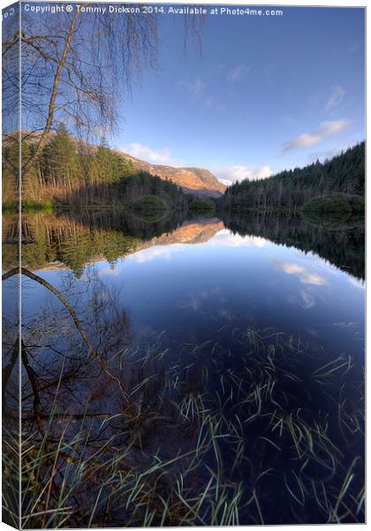 Tranquil Beauty of Glencoe Lochan Canvas Print by Tommy Dickson