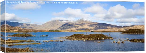 Tranquil Waters of Rannoch Moor Canvas Print by Tommy Dickson