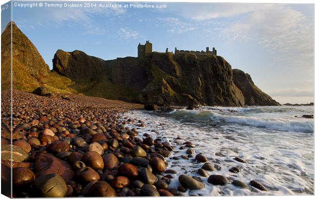 Ruins of Dunnottar Castle Canvas Print by Tommy Dickson