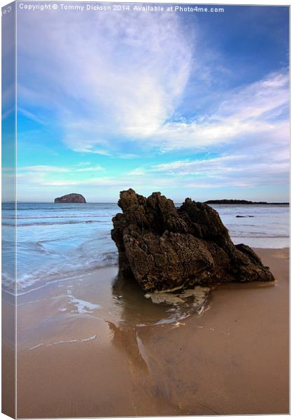 Bass Rock at Seacliff Beach Canvas Print by Tommy Dickson