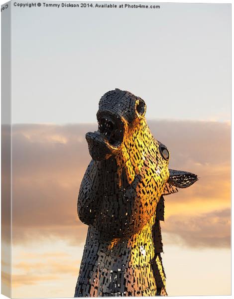 Kelpie at Sunset.  Canvas Print by Tommy Dickson