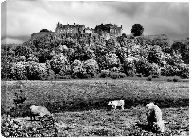  Stirling Castle, Scotland. Canvas Print by Tommy Dickson