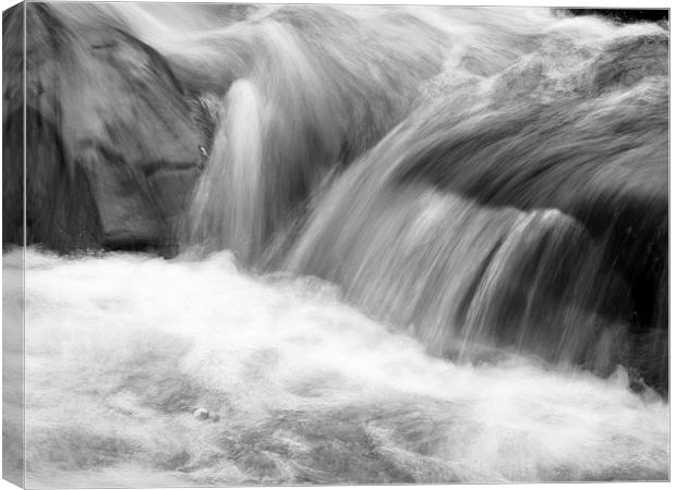 Fluidity in Motion Canvas Print by Tommy Dickson