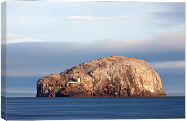 The Bass Rock. Canvas Print by Tommy Dickson