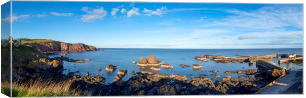 Panorama of St Abbs Coastline Canvas Print by Tommy Dickson