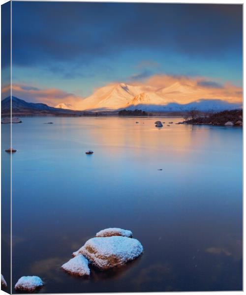 Frozen Beauty Canvas Print by Tommy Dickson