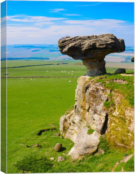 The Bunnet Stane, Fife, Scotland. Canvas Print by Tommy Dickson