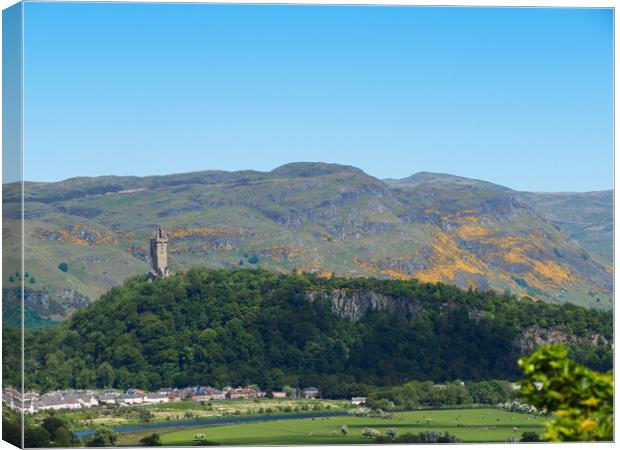 The Ochil Hills and Wallace Monument. Canvas Print by Tommy Dickson