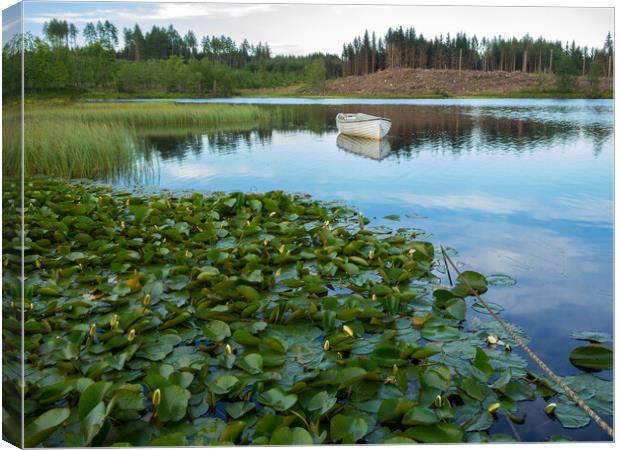 Loch Rusky, The Trossachs. Canvas Print by Tommy Dickson