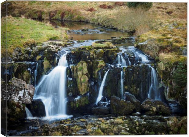 Loup of Fintry Waterfall. Canvas Print by Tommy Dickson