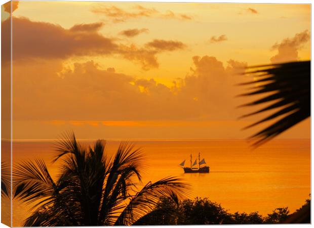 Sunset in Saint Lucia. Canvas Print by Tommy Dickson