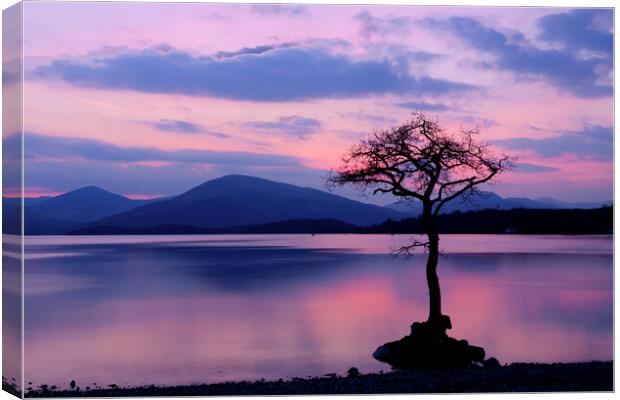 The Solitude of a Scottish Sunset Canvas Print by Tommy Dickson