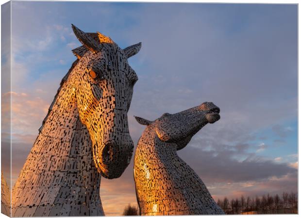 The Kelpies at sunset. Canvas Print by Tommy Dickson