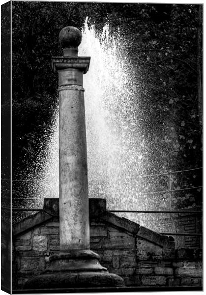  Fountain of Light Canvas Print by Darren Eves