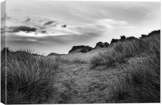 Windswept Dunes Canvas Print by Lucy Pinkstone