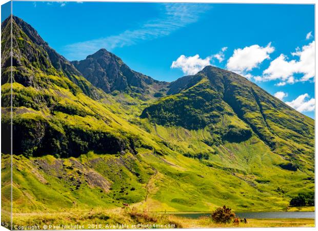 Green and grey above the lochan Canvas Print by Paul Nicholas