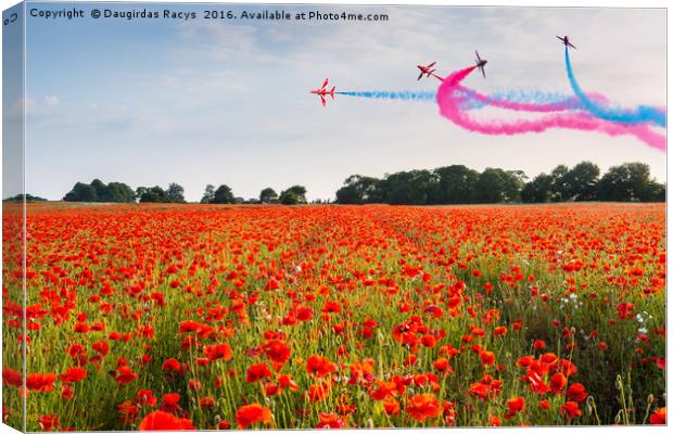 Red Arrows acrobatic flight over poppy field Canvas Print by Daugirdas Racys