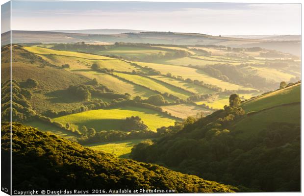 Exmoor Green Rolling Hills Canvas Print by Daugirdas Racys