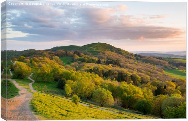 Herefordshire Beacon at the golden evening hour Canvas Print by Daugirdas Racys