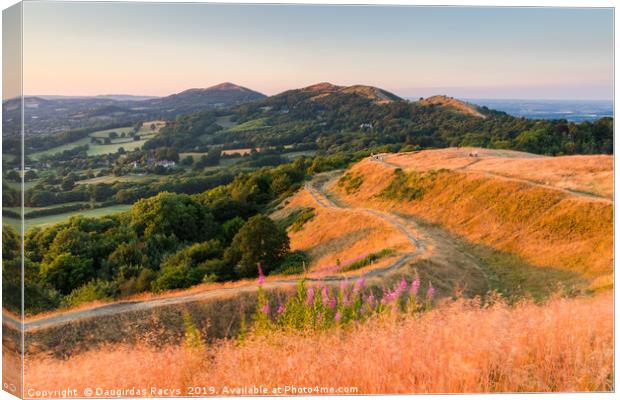 Malvern hills in the summer evening Canvas Print by Daugirdas Racys