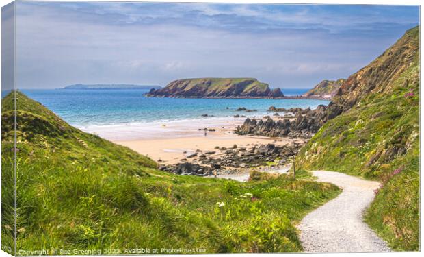 Marloes Beach  Canvas Print by Roz Greening