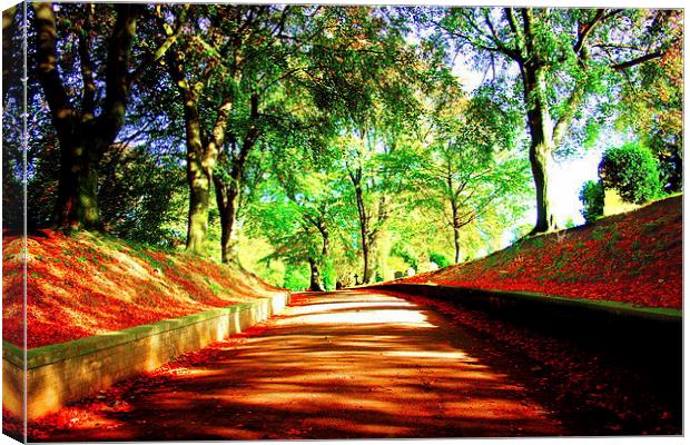 cemetery road Canvas Print by jay clarke