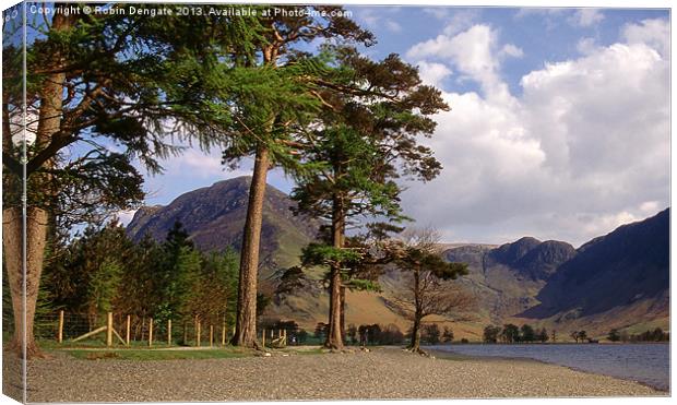 Buttermere Pines and High Crag Canvas Print by Robin Dengate